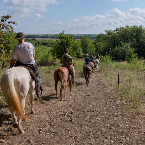 a man riding a horse in a dirt field