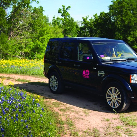 AO Tours Black Land Rover with Pink AO Tours Austin Logo on the side. Yellow flowers and lots of Bluebonnets on either side of car.