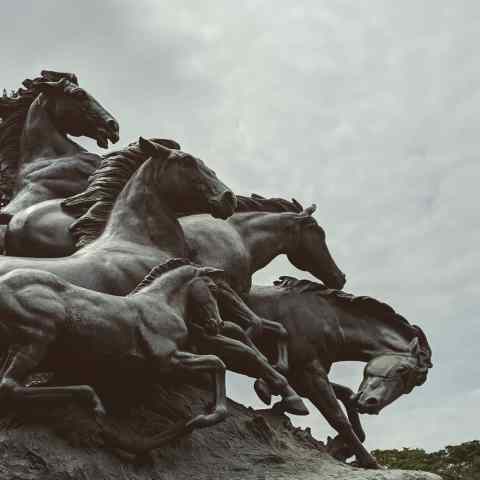 Bronze sculpture of mustangs