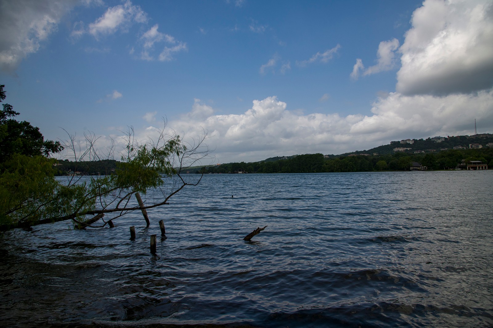 View of Lake Austin from shore. Blue sky with clouds.