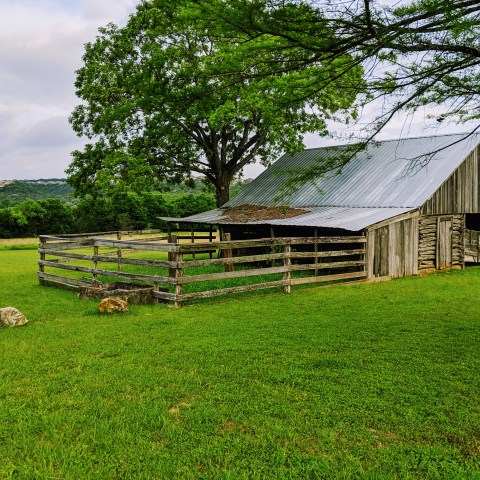 Old barn surrounded by green grass and trees at Common Ford Metro Park outside of Austin Tx