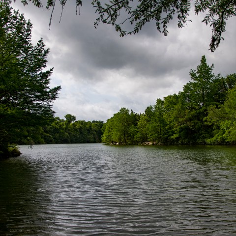 View on a cloudy day from the shore on a river surrounded by green cypress trees