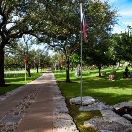 a path with trees on the side of a road