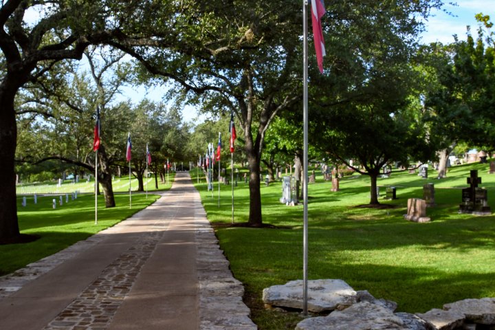 a path with trees on the side of a road