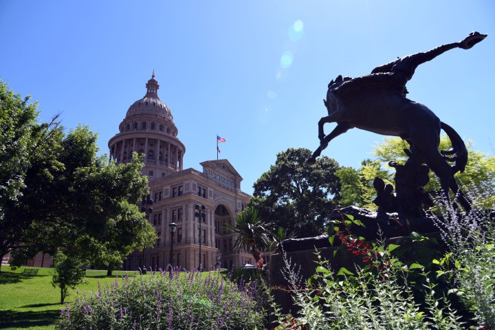 a statue of a man riding a bucking bronco in front of the State Capital of Texas. Clear blue sky, purple and red flowers, green live oak trees and grass.