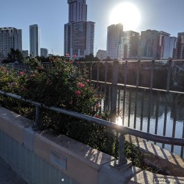 View of flower bed and Downtown Austin in the background from bridge. Clear blue sky. Red flowers. Sun going behind buildings.