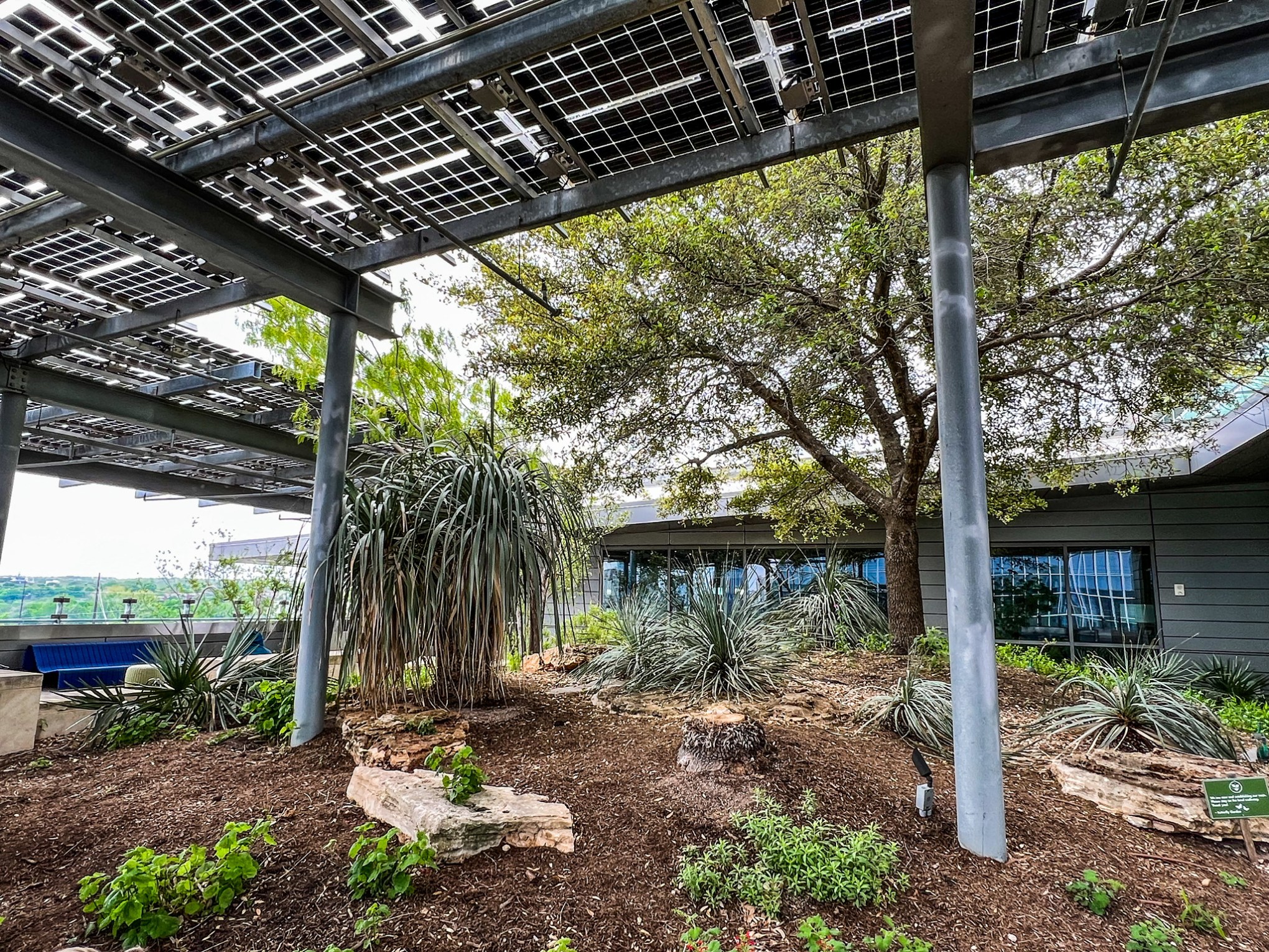 Austin Central Public Library roof top garden. Various plants throughout. Pergola above for shade. Stones and other objects to break the space up.