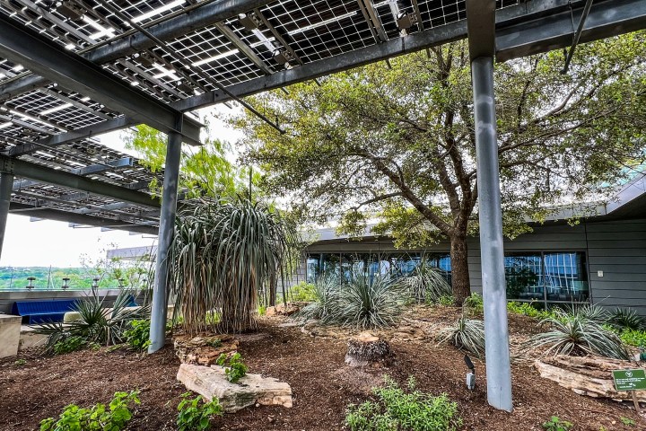 Austin Central Public Library roof top garden. Various plants throughout. Pergola above for shade. Stones and other objects to break the space up.