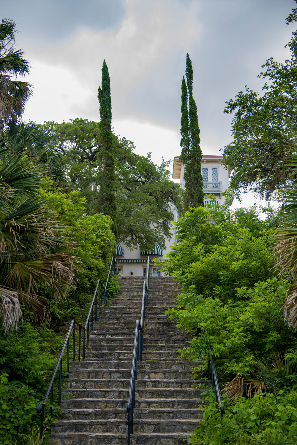 a tree in front of a building