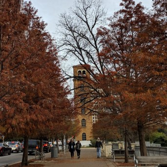 a group of people walking down a street next to a tree