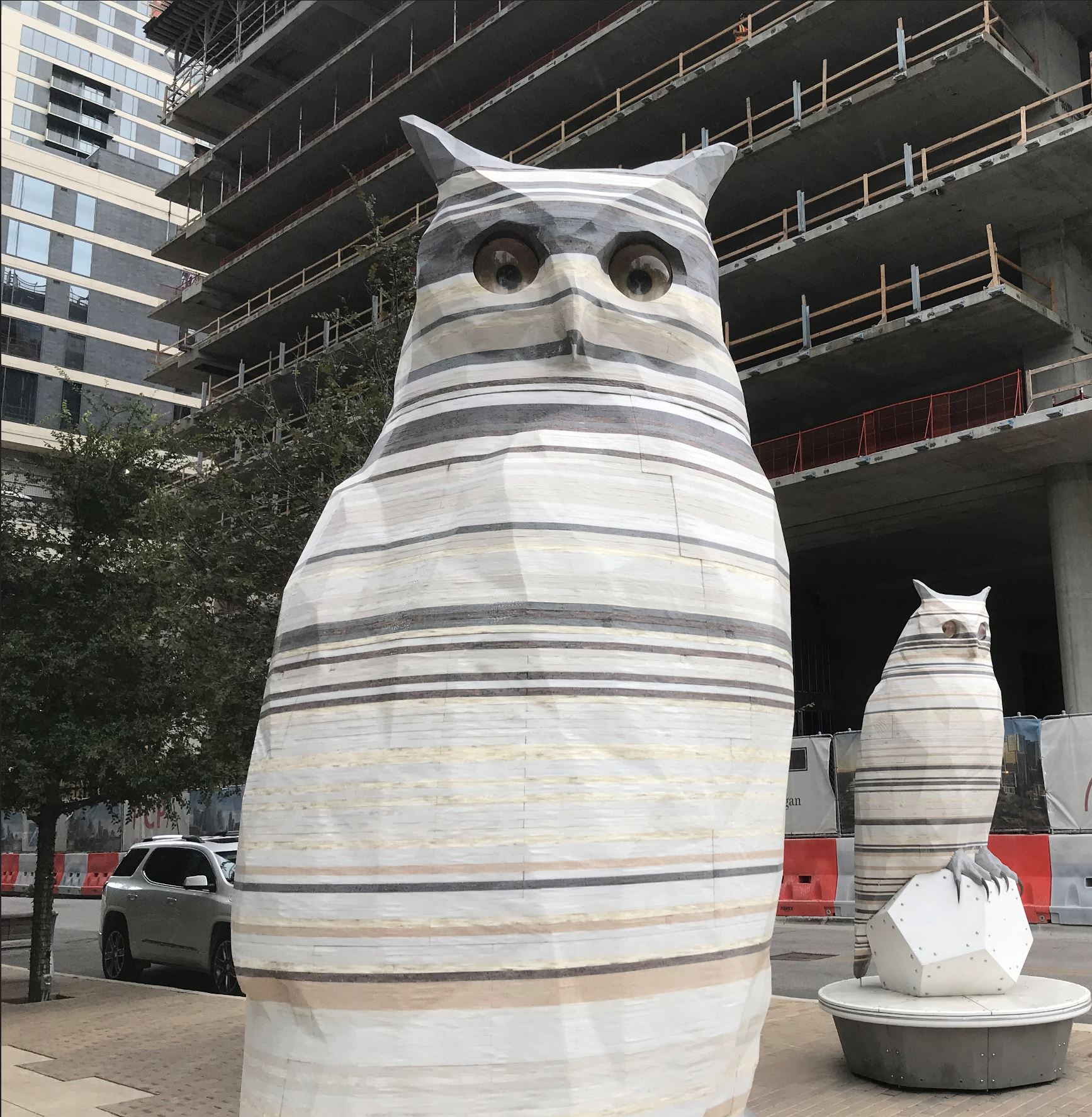 Art Studio & Architecture Tours in Austin, Texas | AO Tours Austin